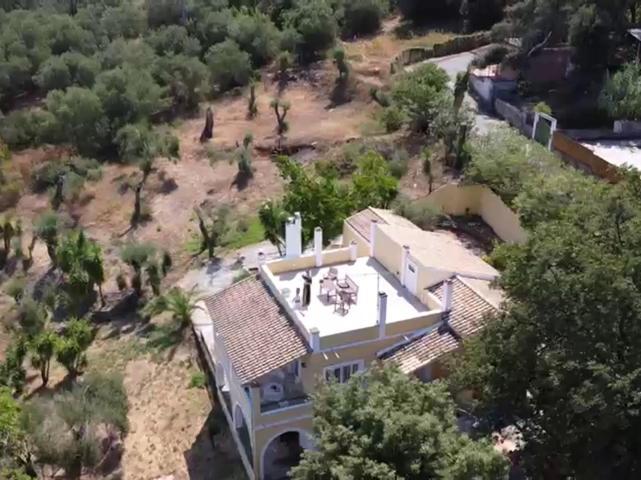 Olea Home Agia Pelagia Chlomou Eksteriør bilde
